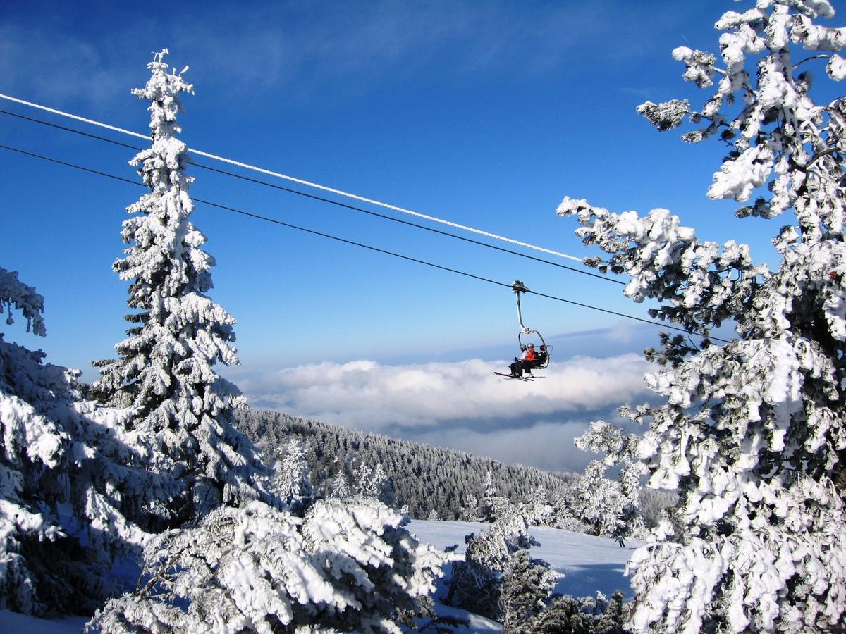 Bungalows Ski Pista Govedarci Exterior photo